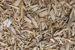 biomass boilers Pinchbeck West